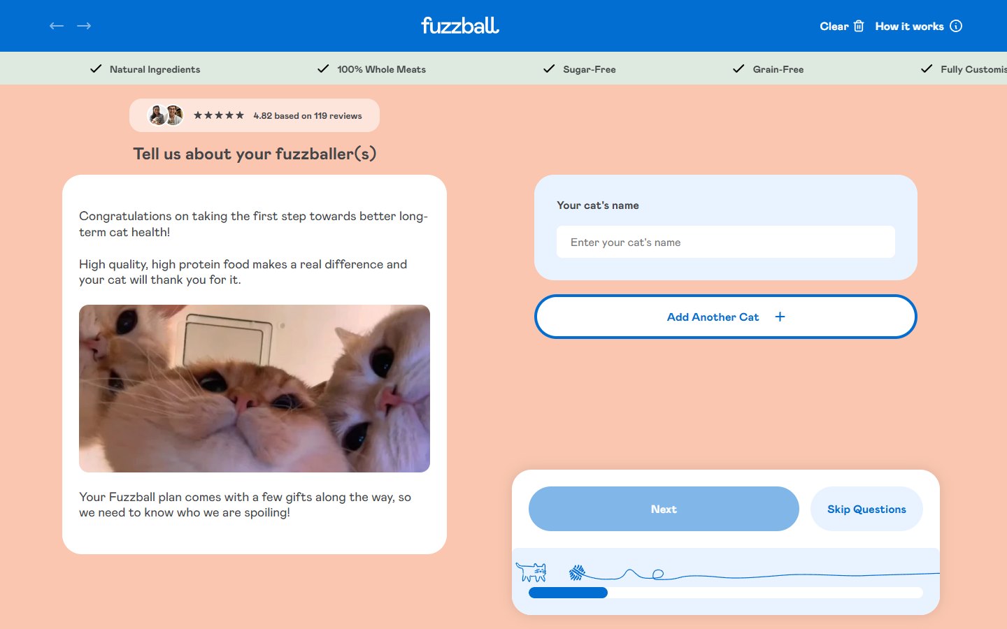 Fuzzball — Take the Quiz (cat food plan builder) — первый шаг