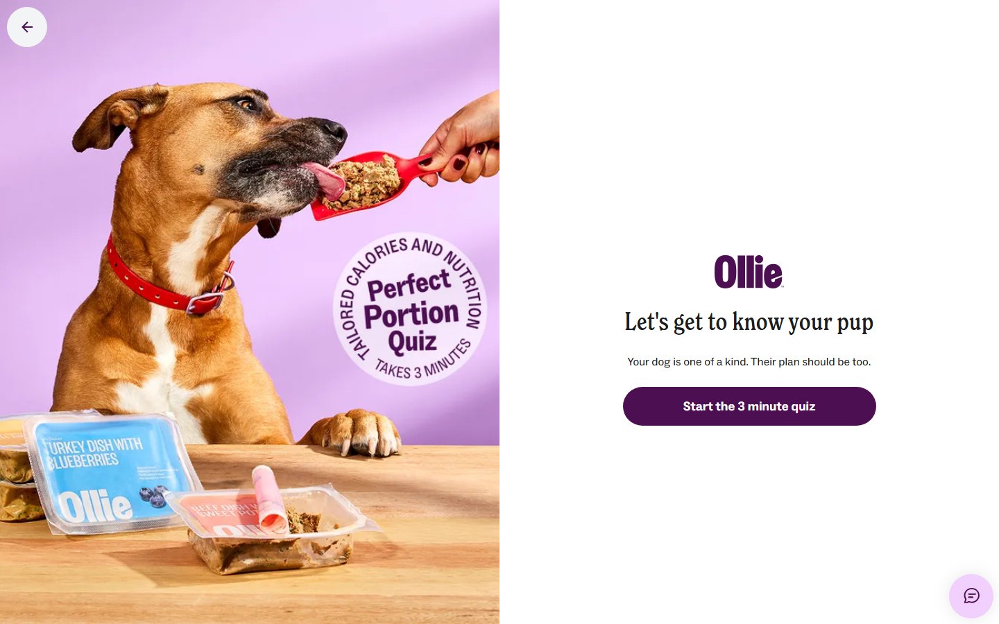 Ollie — Perfect Portion Quiz — первый шаг